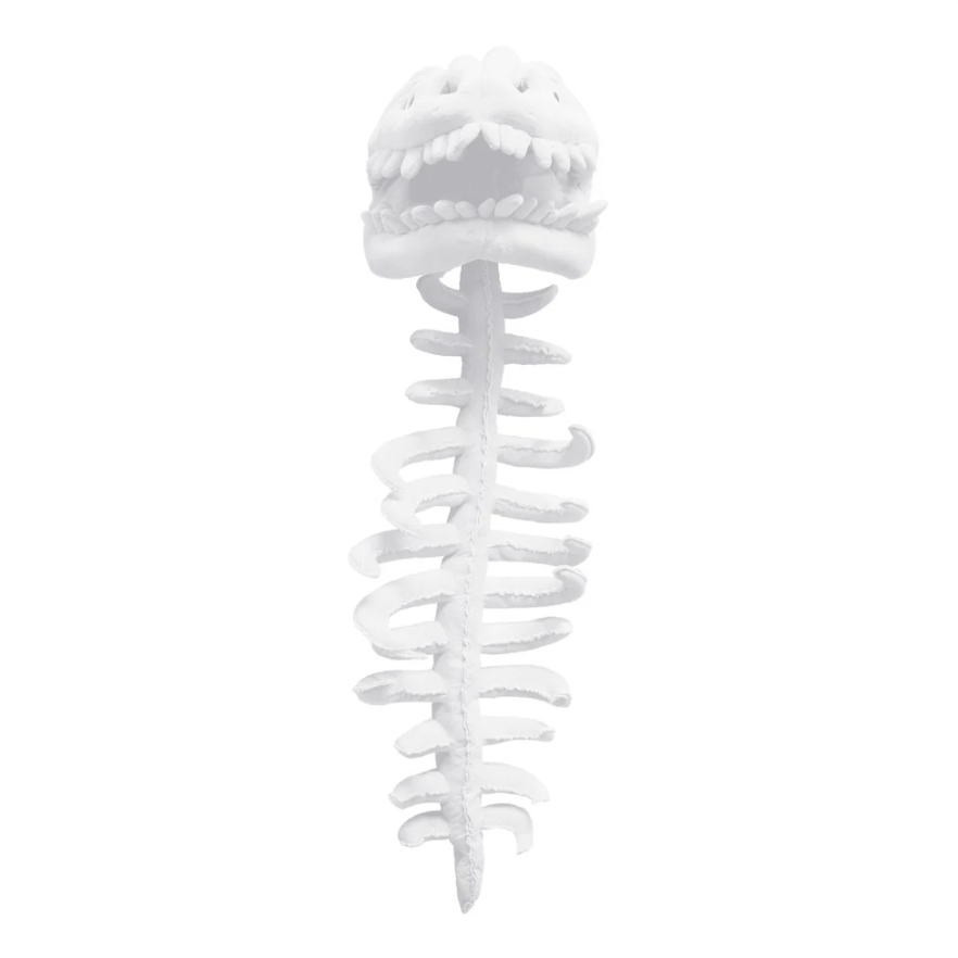 Lovelysaurus | Dino Skeleton Costume
